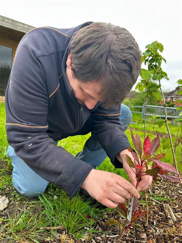 Barlow Road Men's Gardening Group